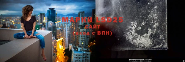 бошки Дмитров