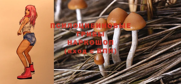 гидропоника Дмитровск