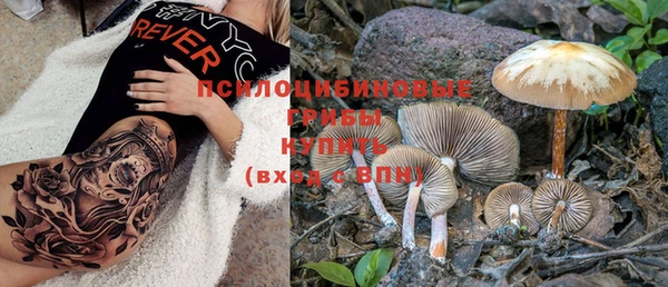 бошки Дмитров